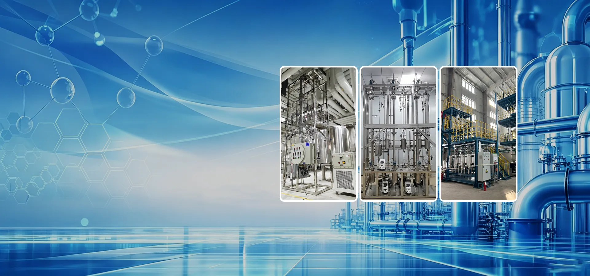 Quality Nauclerus Scala Fixarum Bed Reactionis Apparatus Supplier